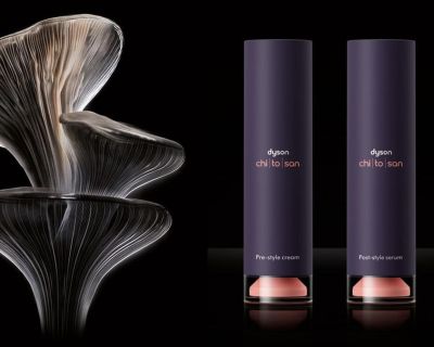 Dyson Chitosan: первые средства для волос от технологического гиганта